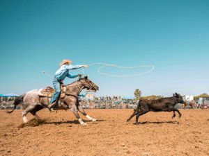 Whether you were cheering at the rodeo, browsing livestock shows, or just soaking in the western spirit — we’ve got one more treat for you.